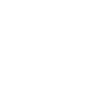 Icon1