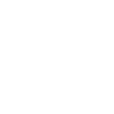 Icon2